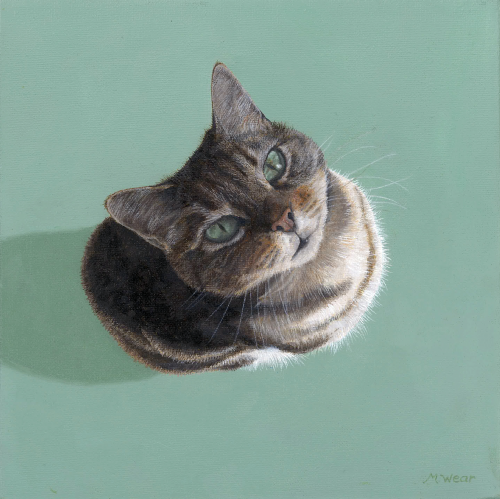 Pooskir  •  10&quot; x 10&quot; x .75&quot; depth  •  2021  •  Oil