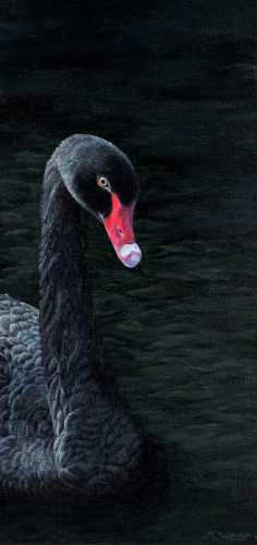 Black Swan  •  6&quot; x 12&quot; x .75&quot; depth  •  2021  •  Acrylic