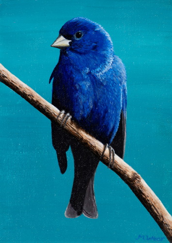 Blue Bird  •  5&quot; x 7&quot; X .75&quot; depth  •  2019  •  Acrylic