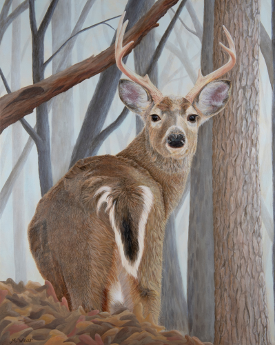 Whitetail Buck  •  24&quot; x 30&quot; x .75&quot; depth  •  2020  •  Acrylic
