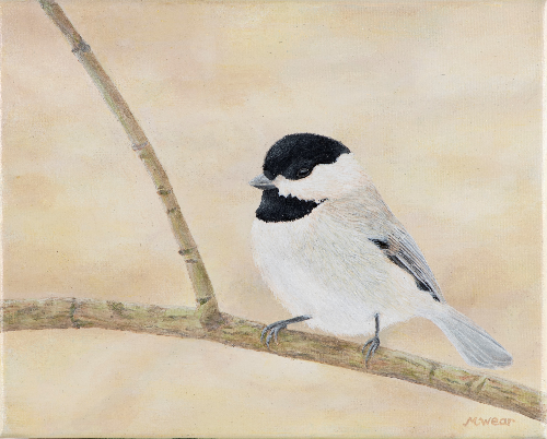 Chickadee  •  8&quot;x 10&quot; x .75&quot; depth  •  2019  •  Acrylic
