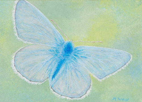 Little Butterfly  •  5&quot; x 7&quot;, 1&quot; depth  •  2020  •  Acrylic