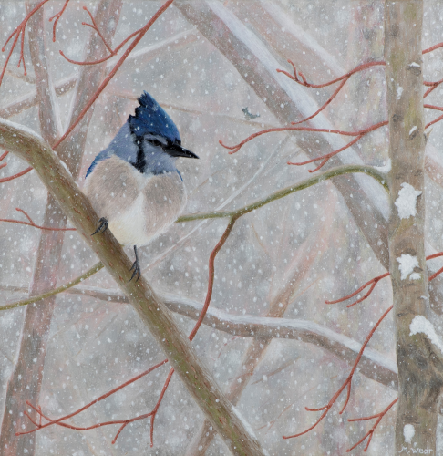 Winter Blue Jay  •  12&quot;x 12&quot; x .75&quot;depth  •  2020  •  Acrylic