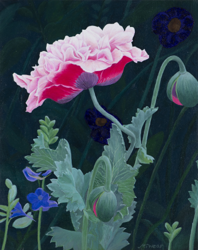 Poppy  •  8&quot;x 10&quot; x .75depth  •  2020  •  Acrylic