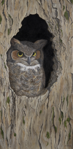 Mr. Owl  •  12' x 24&quot; x .75&quot; depth  •  2022  •  Oil